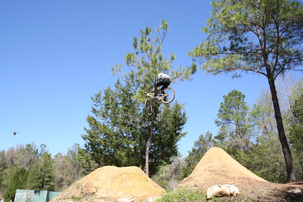 T-Bog
