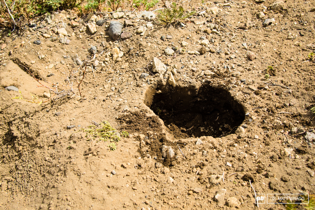 Nearly everyone who has spent time riding in Chile seems to have stories of these holes. They are created by a small, burrowing mammal that digs beneath the surface. Completely invisible from above, you only know they are there when you put a foot or a tyre on top and the earth gives way.