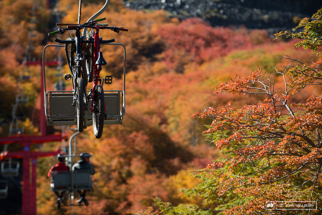 Just sit back and enjoy the ride.