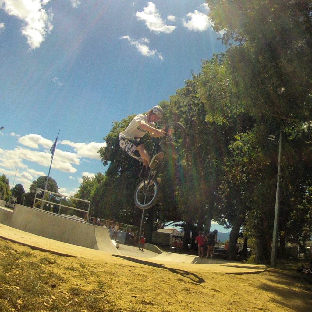 Double tire grab