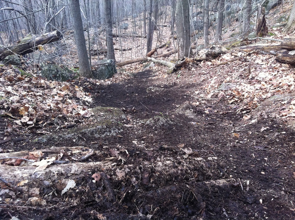 First day on the trails. Not much done but still, removed the leaves and drained some water. Half of the trail is done, the other is still wet and slippery,