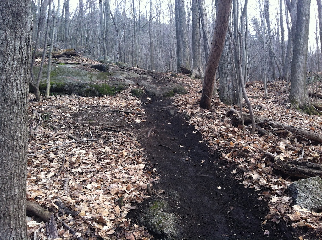 First day on the trails. Not much done but still, removed the leaves and drained some water. Half of the trail is done, the other is still wet and slippery,