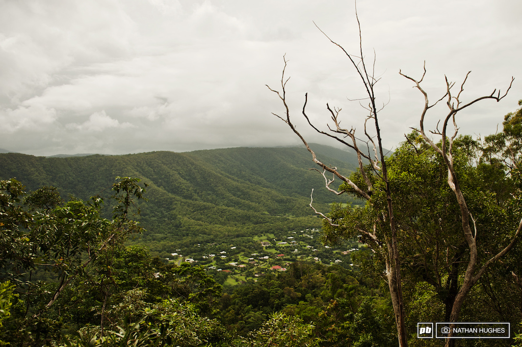 Rainforest views