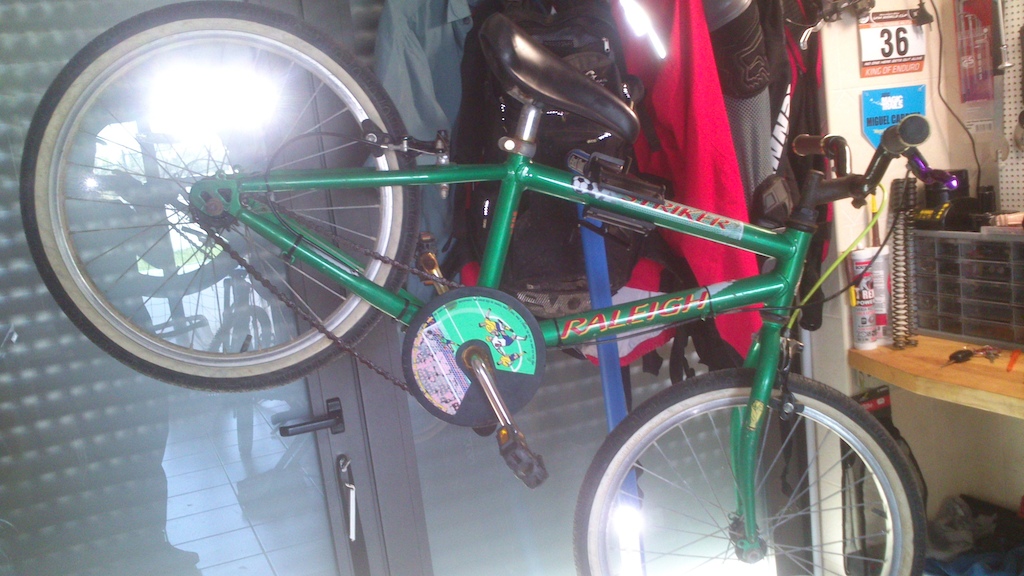 20' Raleigh recovered from trash :-)