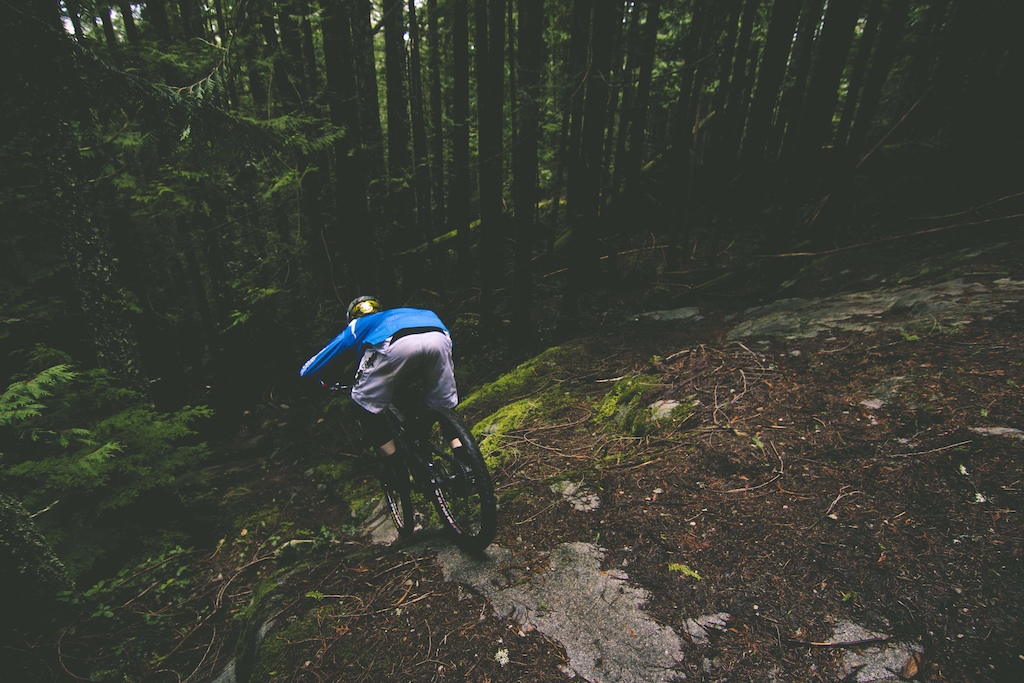 Matt dropping in.