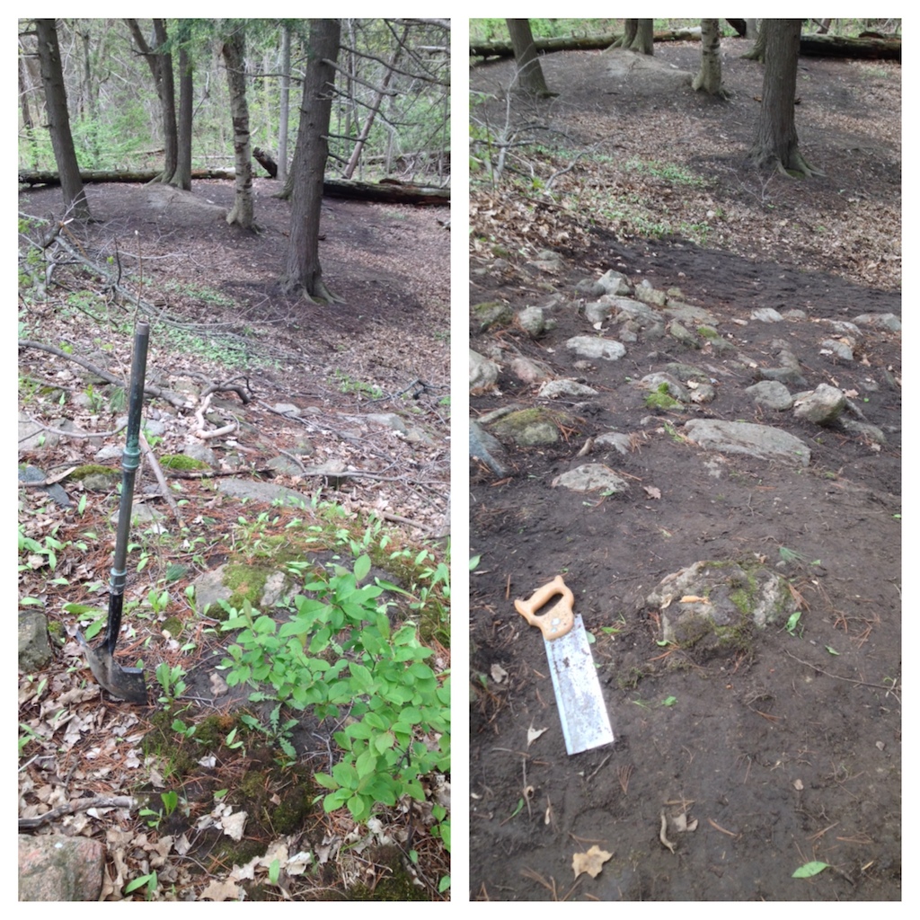Comparison pics of when I found the natural rock garden and after I cleared it,