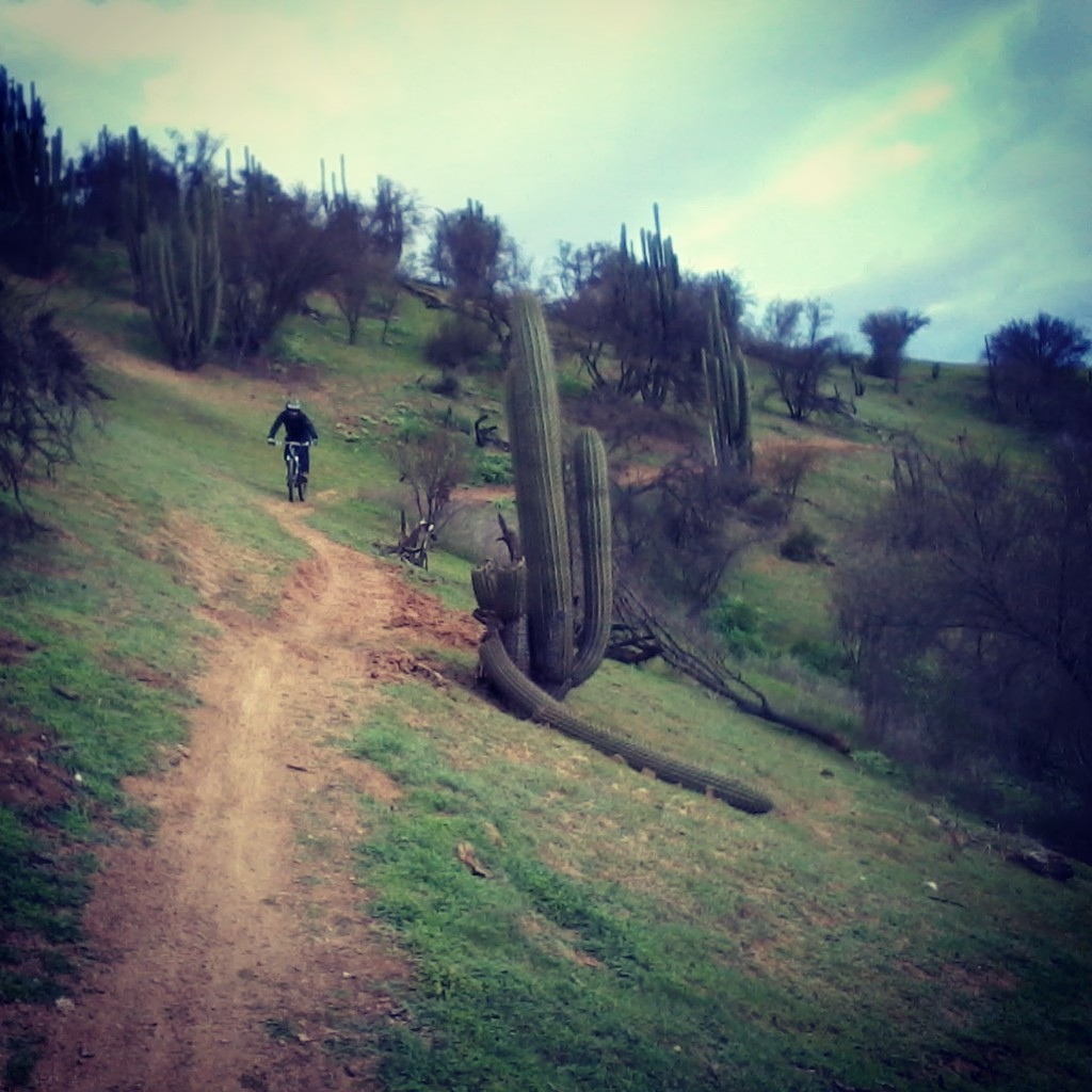 Fast trails in the hill
