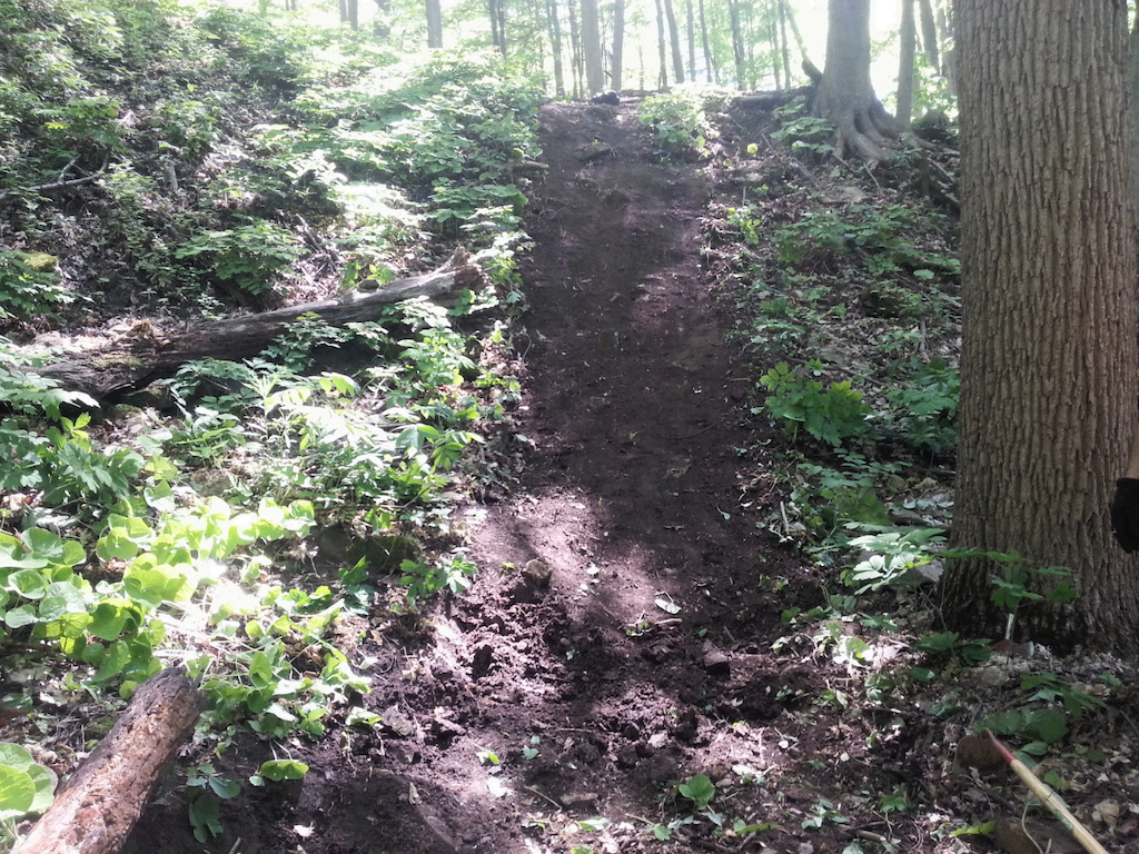 Creek drop run in