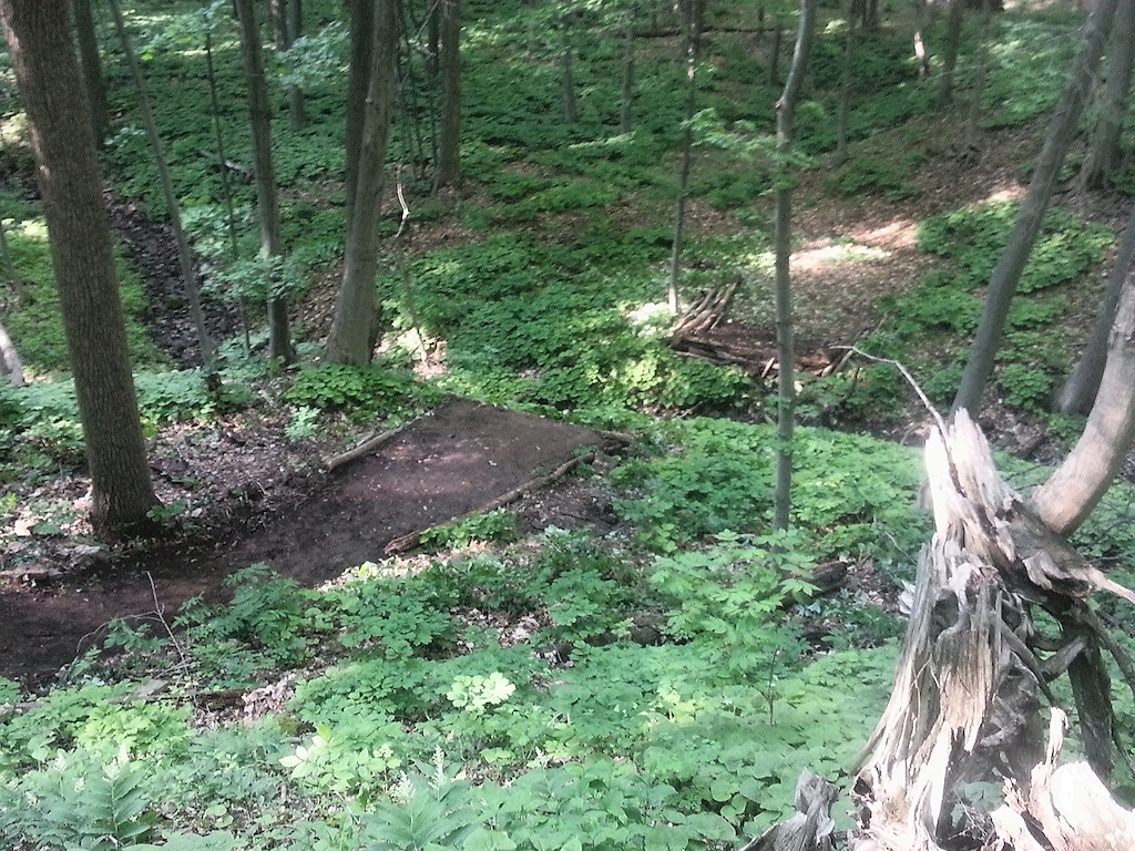 Creek drop