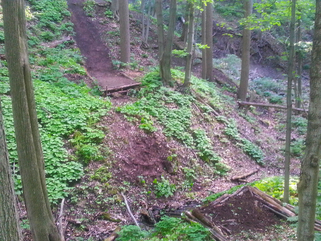 Creek drop