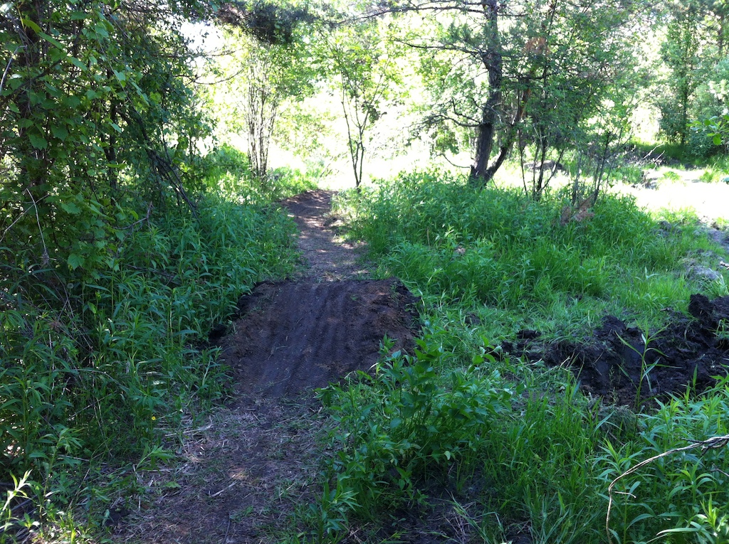 new alternate trail on left due to TANK damage of original trail!