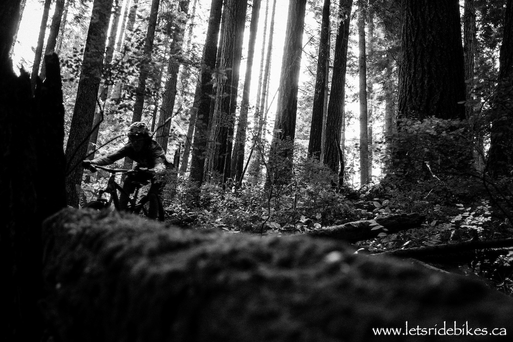Reuben was at MEC Bikefest North Shore to incorperate a new and informative sports photography clinic. He took a small number of aspiring photographers to a few different trail setups nearby Inter River Park. Stephen Matthews and Max Berkowitz served as rider models for the clinic. Reuben took us through angles, lighting, etc to take our photography to the next level.