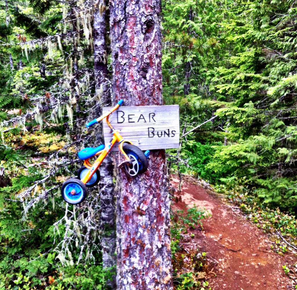 Trail Head to Bear Buns