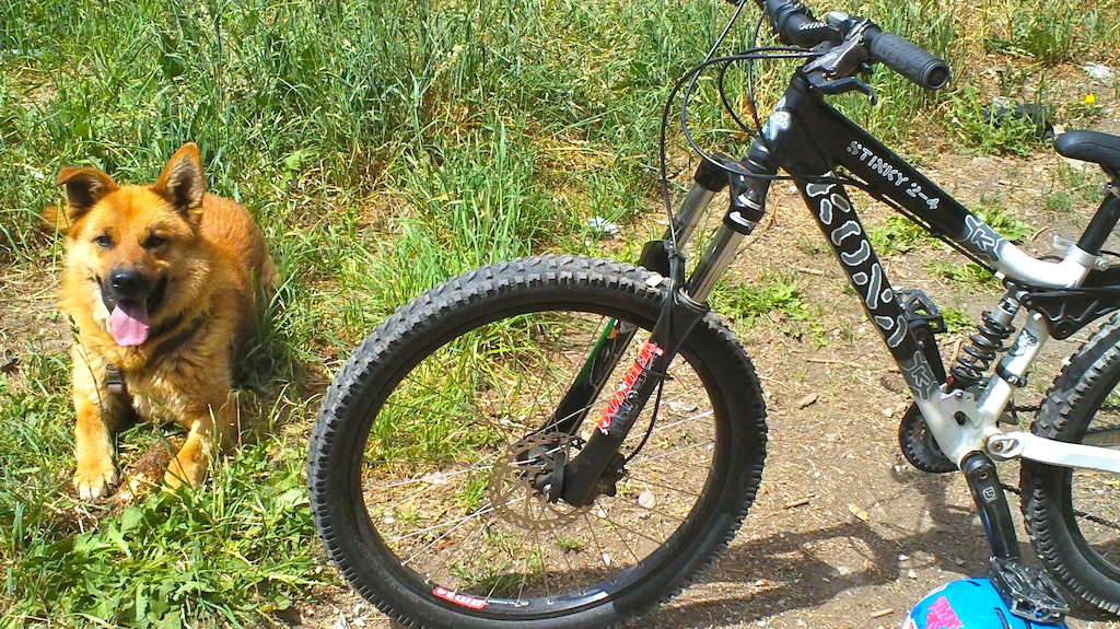0 Kona Stinky 2-4 PRICE DROP