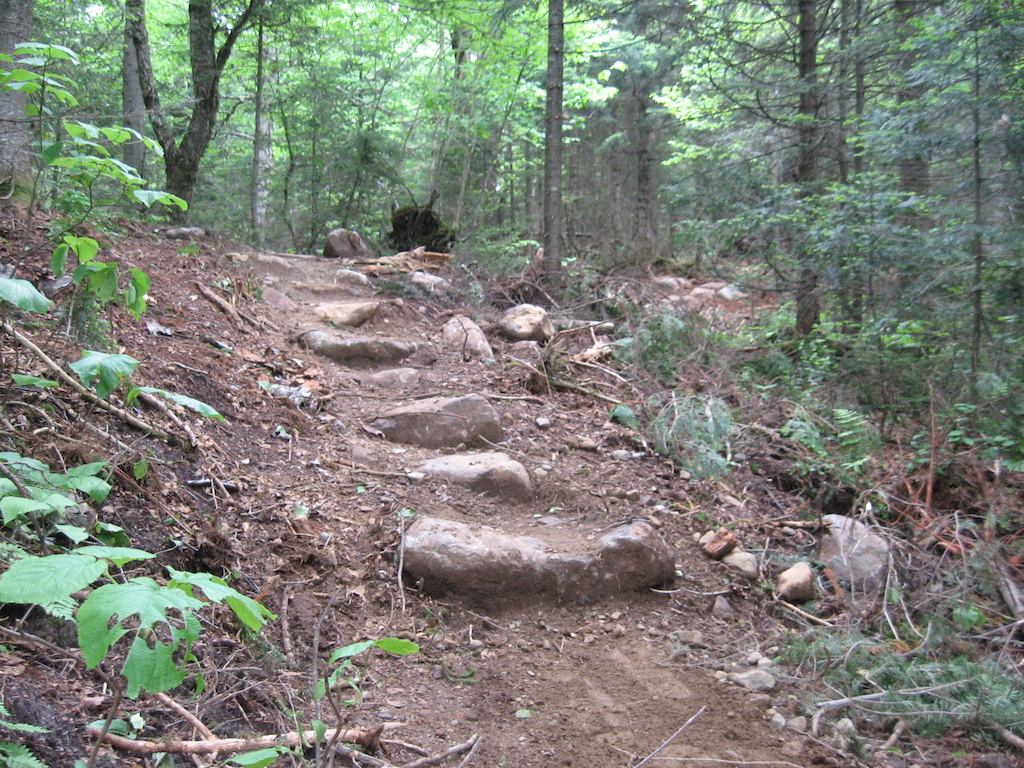 Been busy for the past couple weeks building this trail for Ziptrek in Mont-Tremblant, Qc