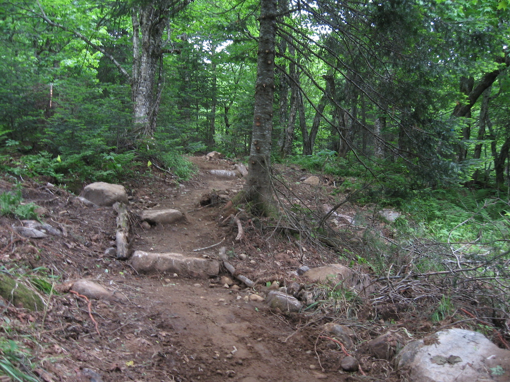 Been busy for the past couple weeks building this trail for Ziptrek in Mont-Tremblant, Qc