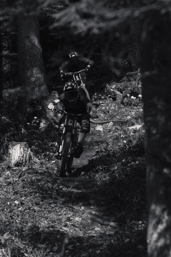 - Let's get out of the forest to find... -