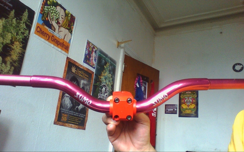 0 dmr wing bars