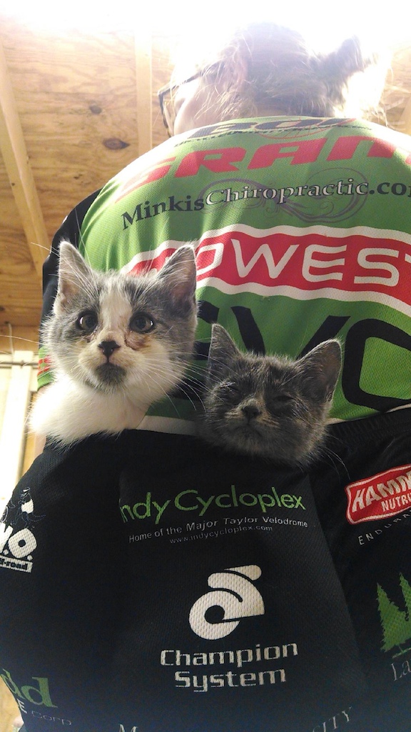 Kittens and bikes are the only things that matter.