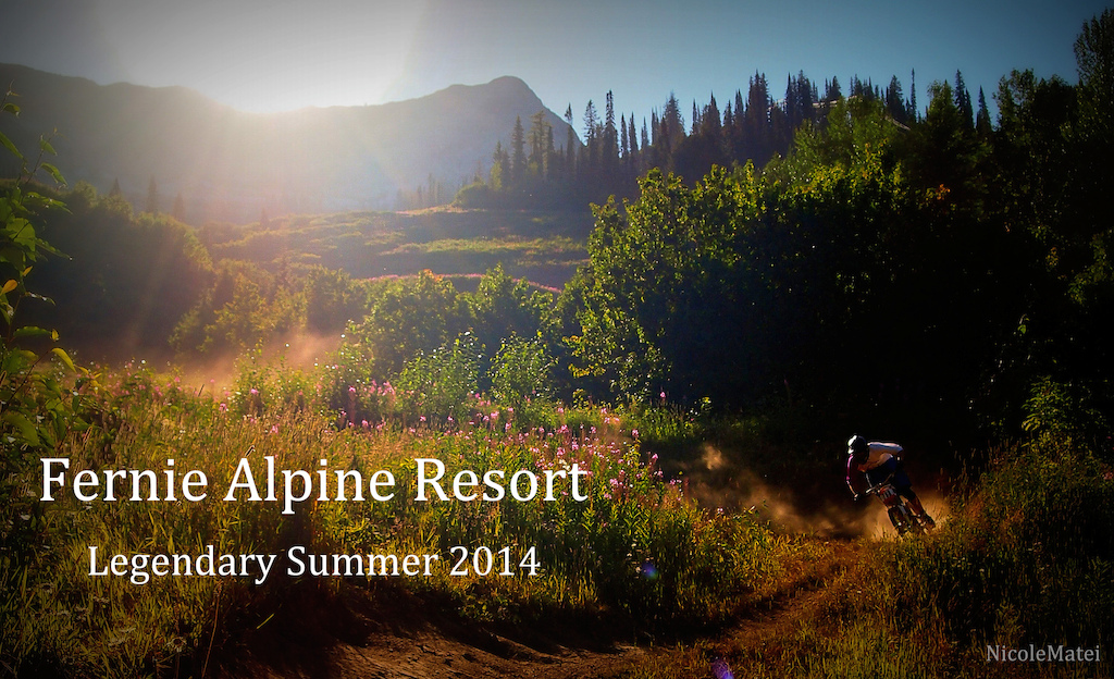 Fernie Alpine Resort images 2014