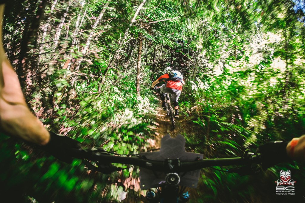 Highspeed tree tunnels were a highlight of the finishing trails.