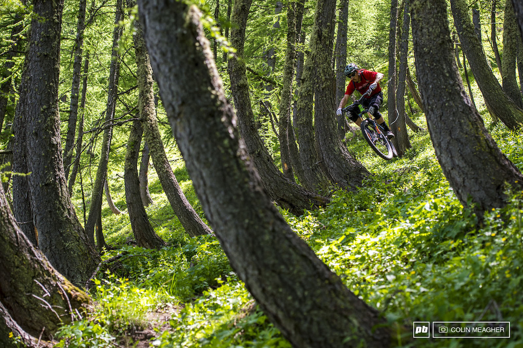 Boner Trees = Bone-Air. -Lars Sternberg getting a bit of airtime amidst the grove of bent trees on what was track 4 of 2013's EWS race here in Allos.