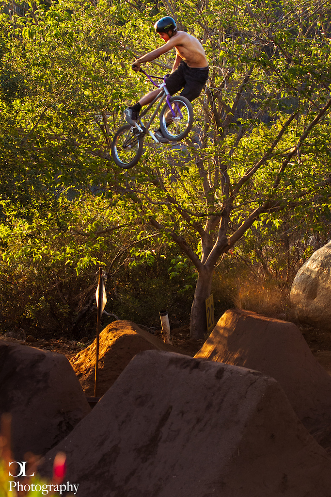 20 inch session at golden hour
