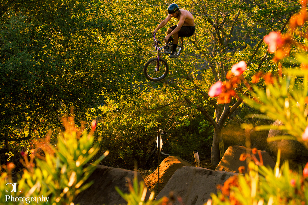 20 inch session at golden hour