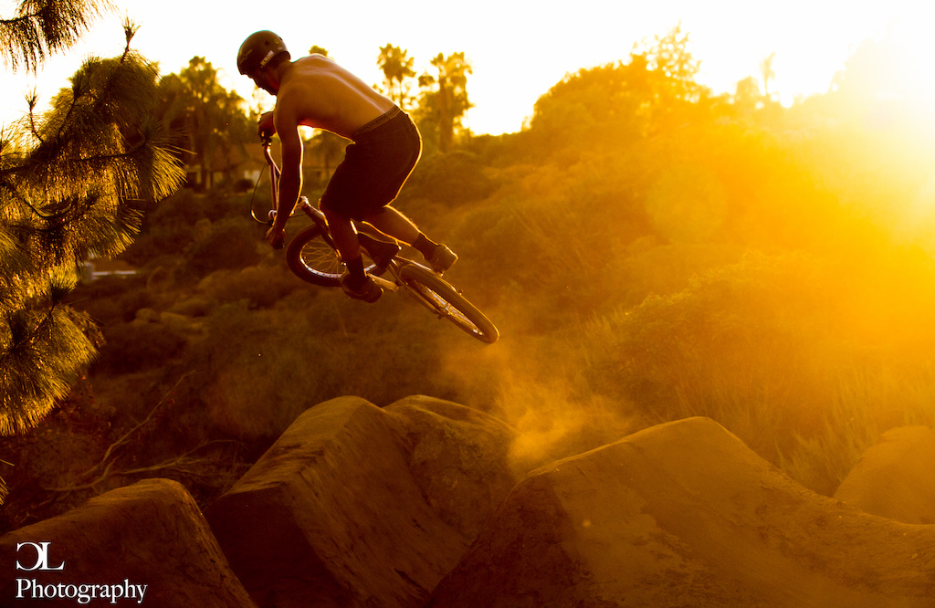 20 inch session at golden hour