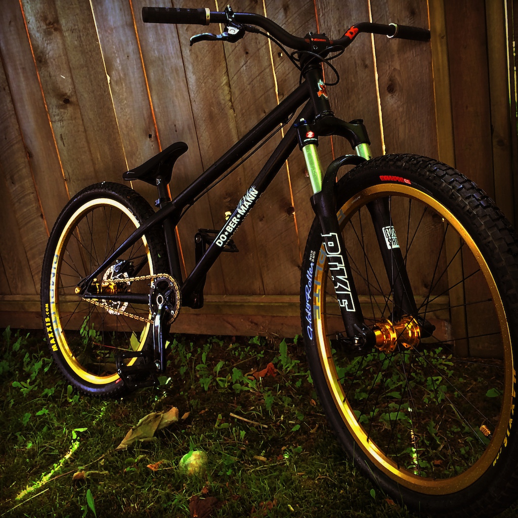 2008 Dobermann pinscher trade for a freeride