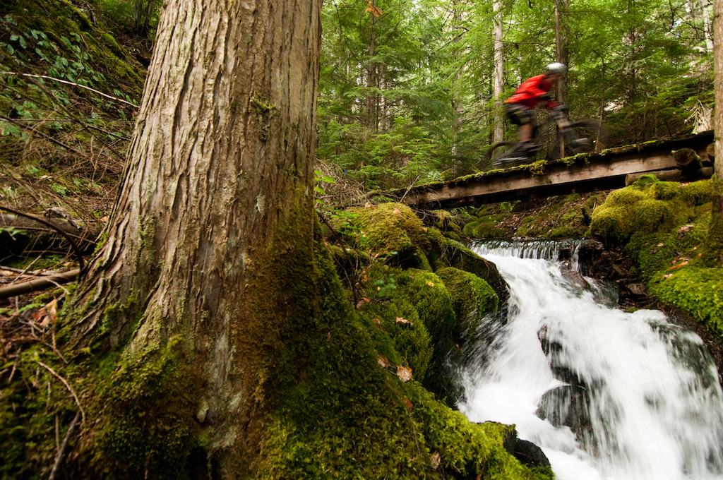 Lush forests with rushing rivers throughout the Mountain Station riding area.