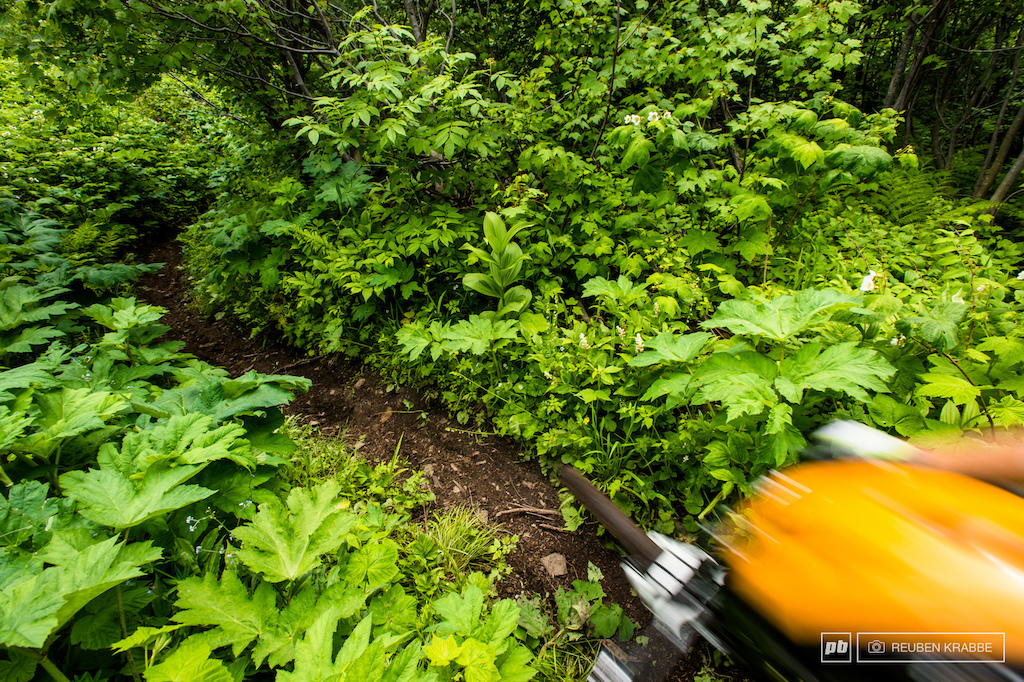 pedaling in Fernie BC