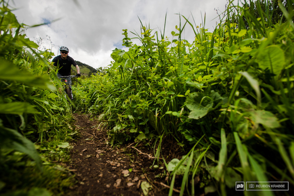 pedaling in Fernie BC