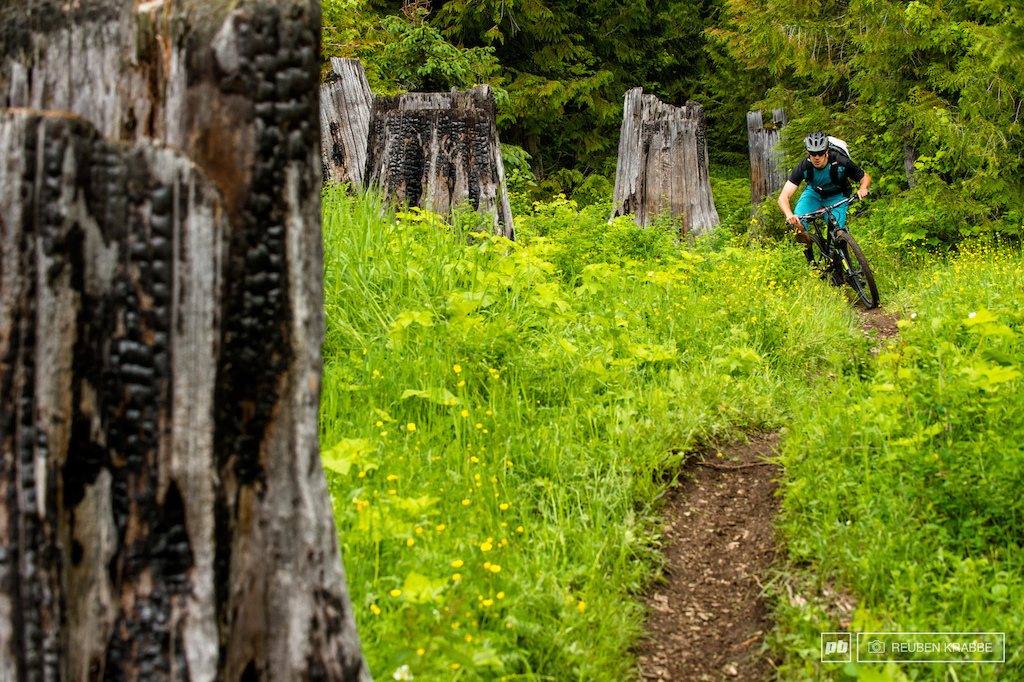 pedaling in Fernie BC