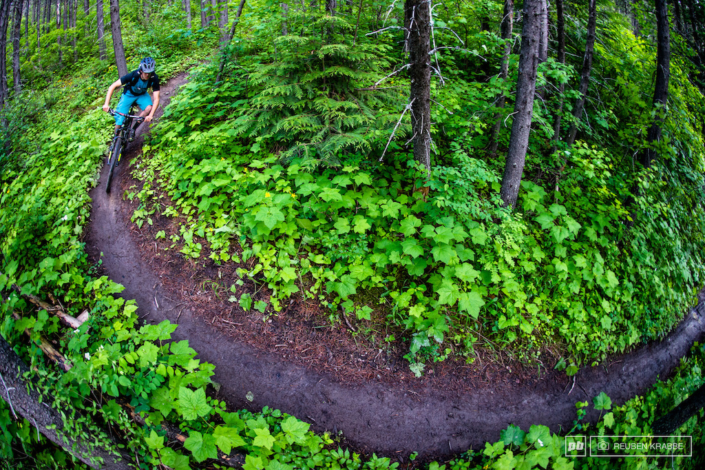 pedaling in Fernie BC