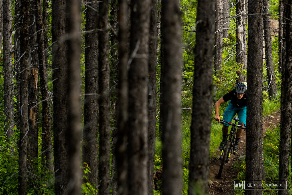 pedaling in Fernie BC