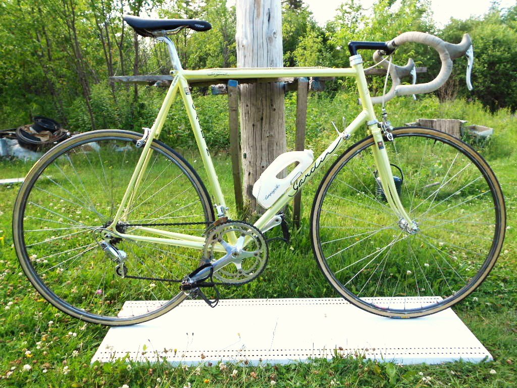 0 Gardin Racing Bike