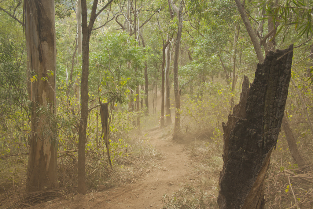 Steep and dusty