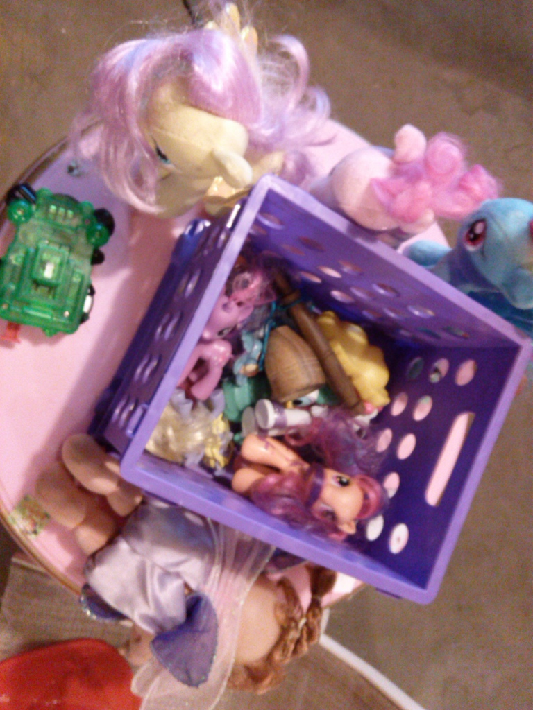 A shot of my daughters goodies.  One person should recognize the brown toy in the middle....