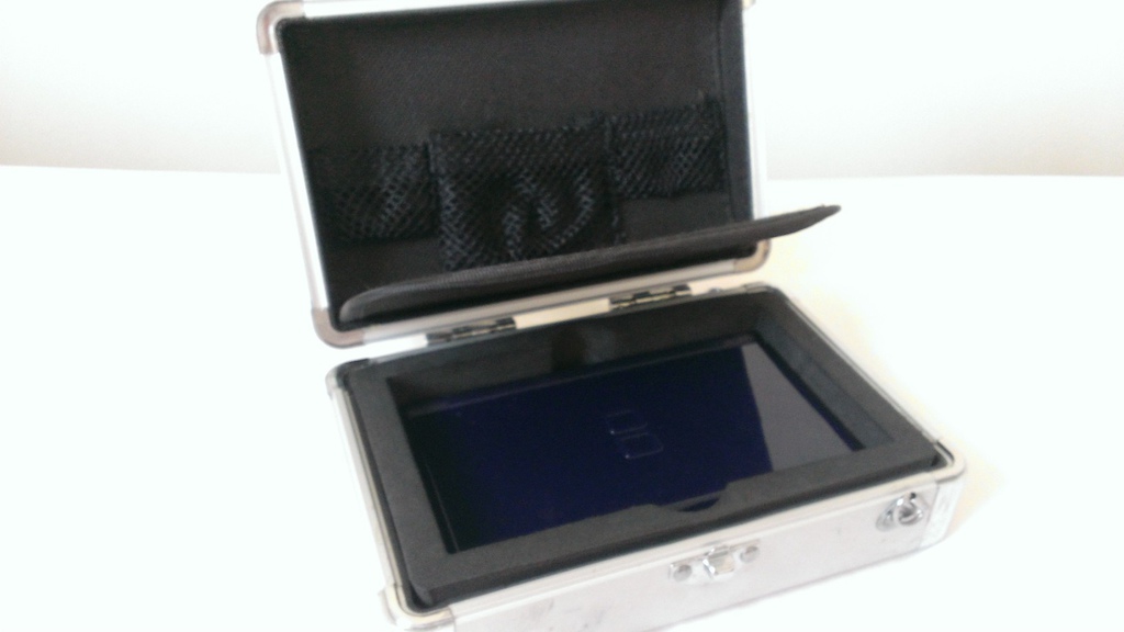 2012 Nintendo DS Lite