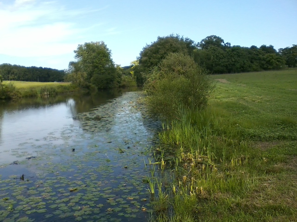 Just picture of a pond on the Biketrail heading into Allaire State Park