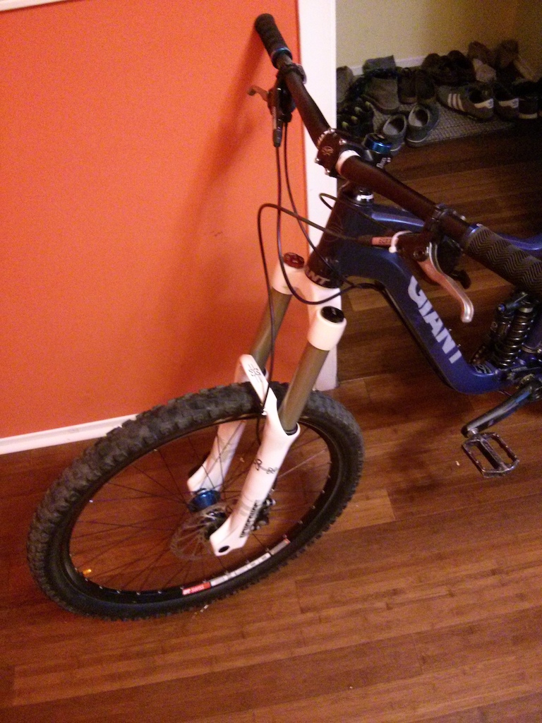 2010 Giant Reign X1