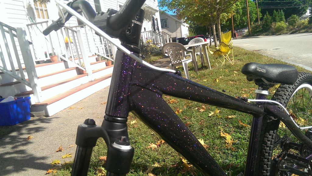 Custom powder coat purple with rainbow flake. Looks amazing in the sun.