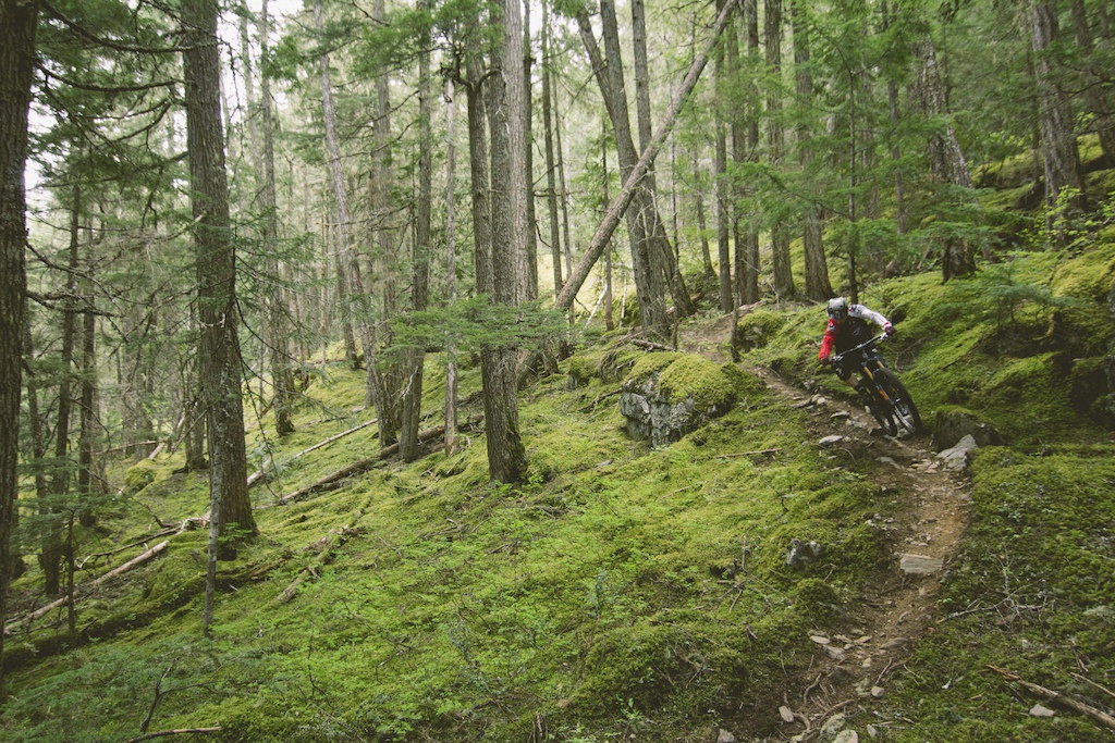 Jesse Melamed ripping some Whistler singletrack earlier this year. Give us a nomination for POY if you feel inclined.