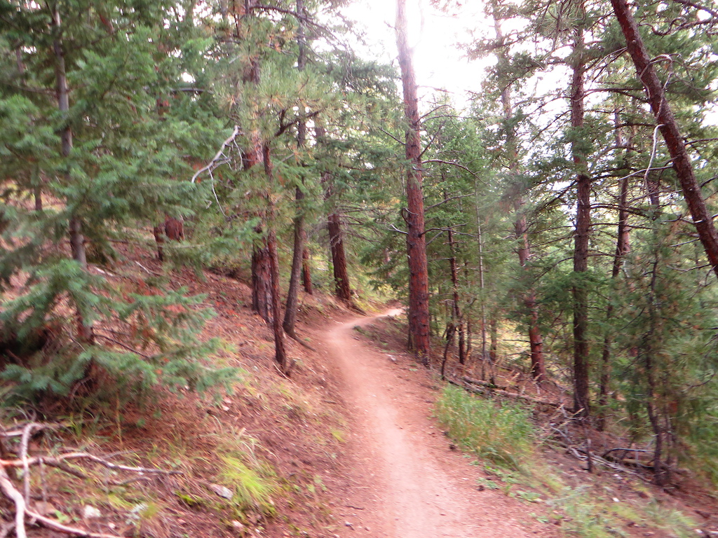 betasso trail