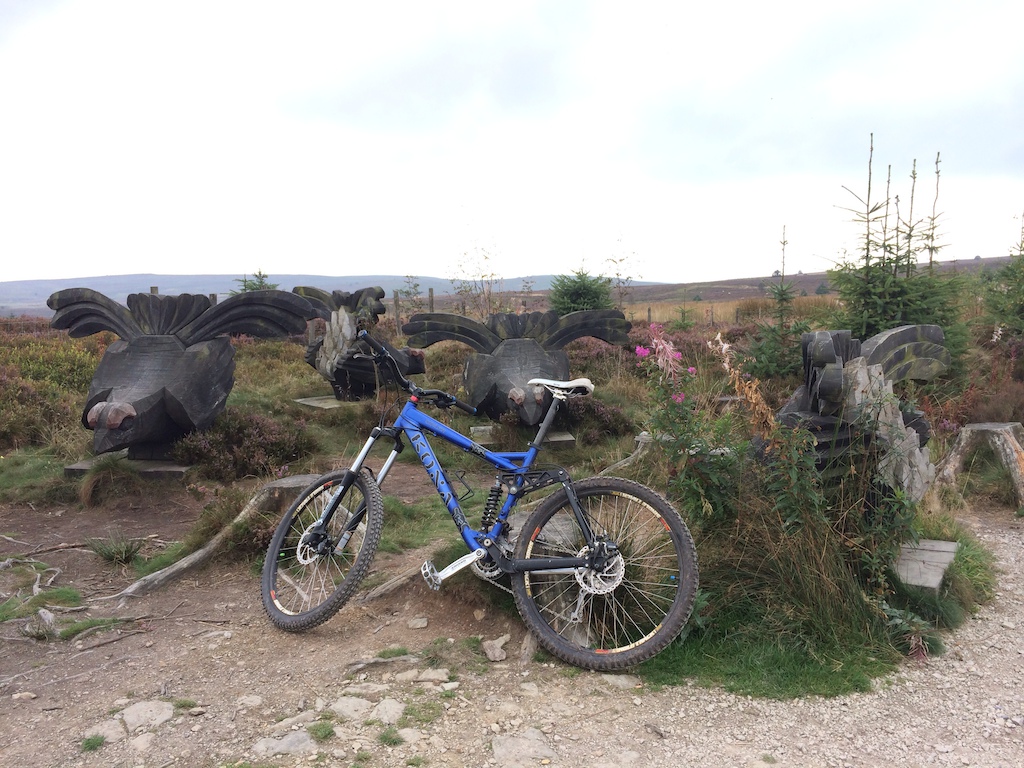 First time back at Llandegla in about 5 years.