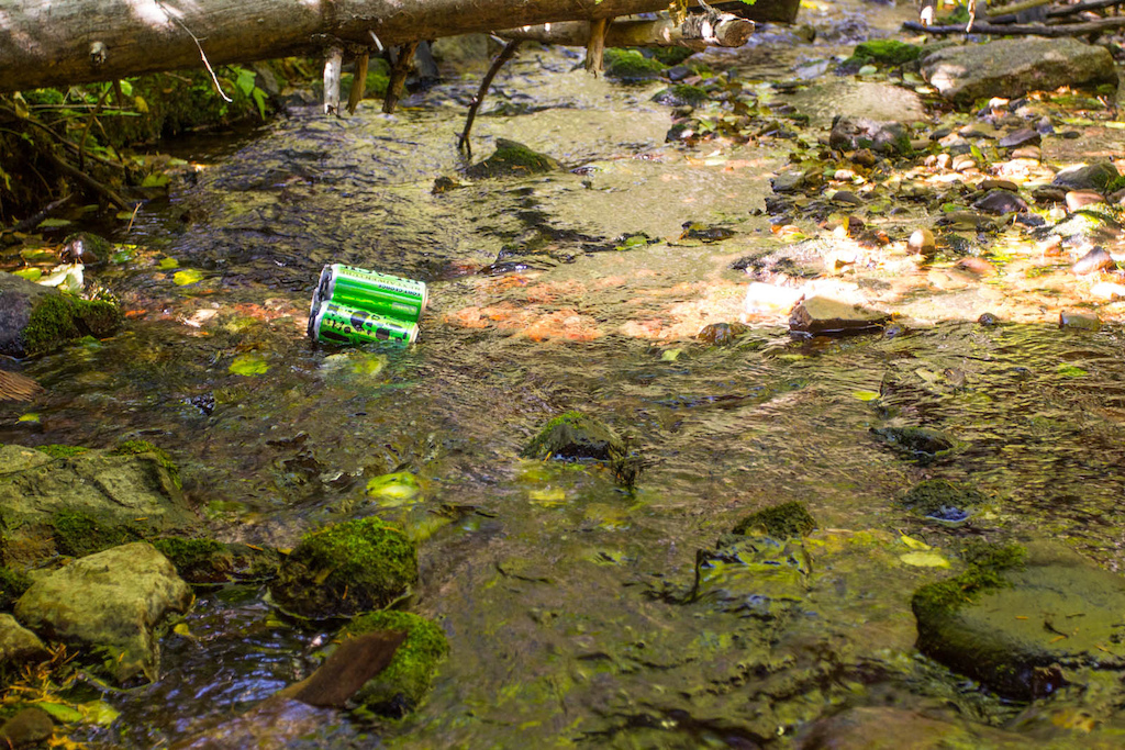 beer staying cool in the creek