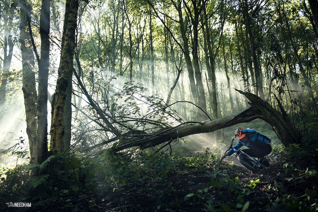 Deep down in the misty woods, Chris Akrigg came out to play.