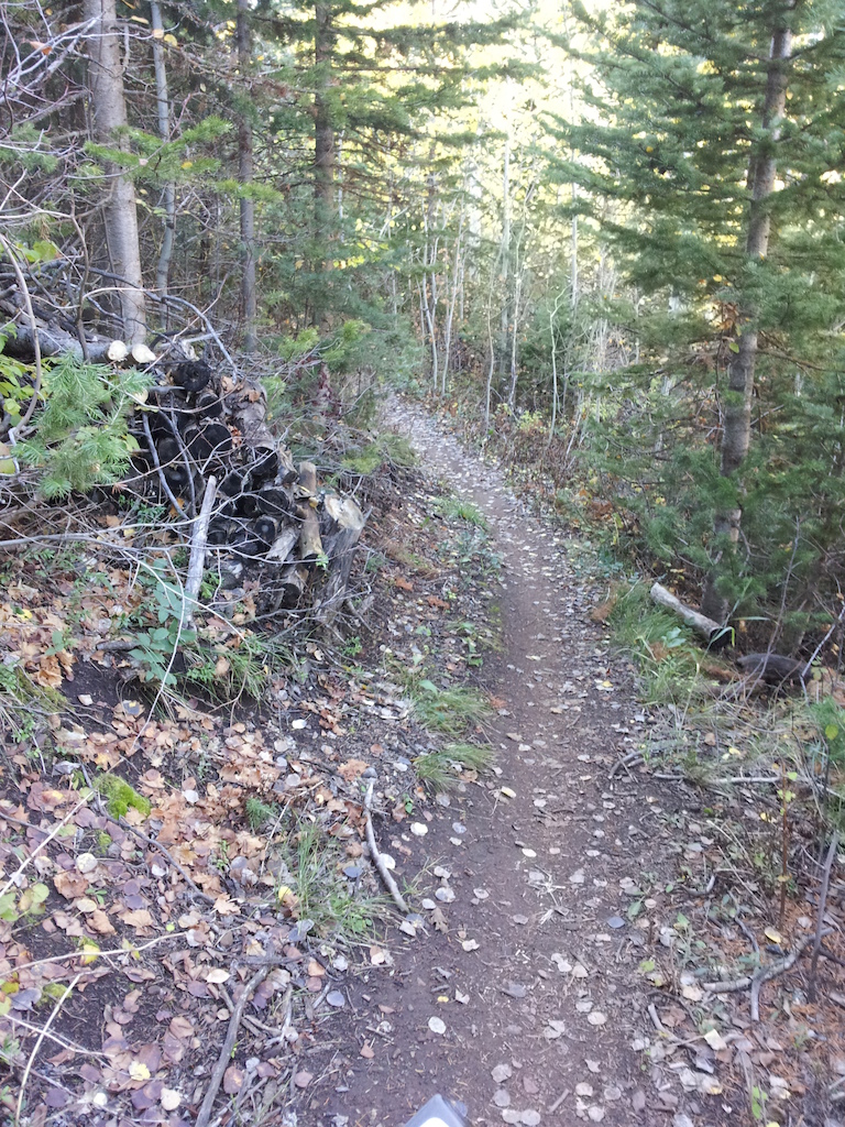 If you start on the south side of Deer Crest, this is the trail you climb to get to Deer Valley. Seems like a waste of good wood
