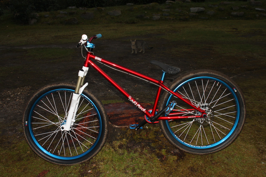 2012 Dartmoor Quinnie